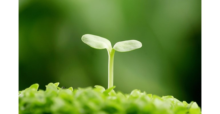 GIẤY PHÉP MÔI TRƯỜNG