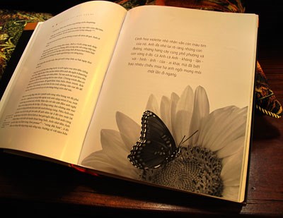 GIẤY PHÉP MÔI TRƯỜNG