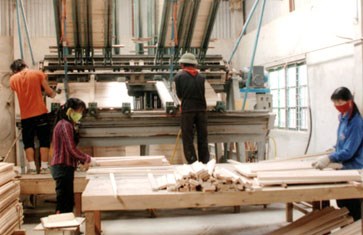 Dust Treatment System for Timber Production