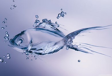 Giấy phép xả thải vào nguồn nước