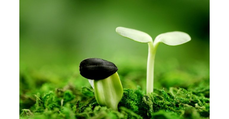 GIẤY PHÉP MÔI TRƯỜNG
